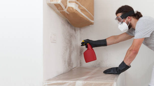 Professional Crawl Space Mold Removal technician working in Somerville, MA