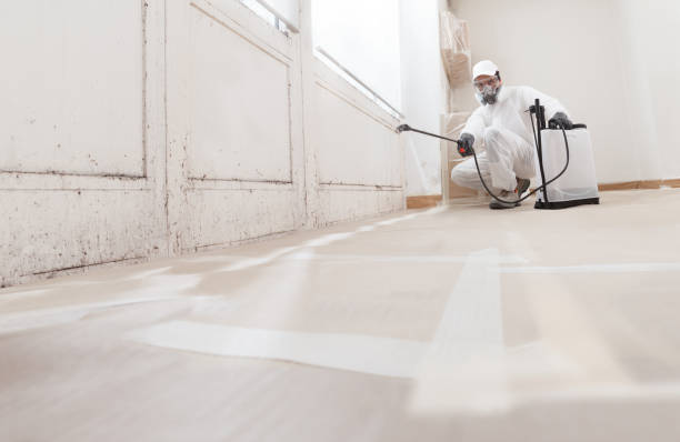 24/7 Emergency Crawl Space Mold Removal experts in Somerville, MA